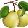 2Pear