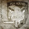 Grayfox