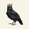 The Raven King