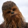 Mr.Chewbacca