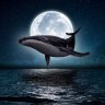 Moon Whale