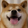 HornyShibe