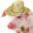 Pigfarmer